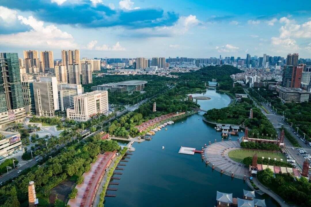 2025新澳门精准正版免费,专家意见解释定义|最佳精选