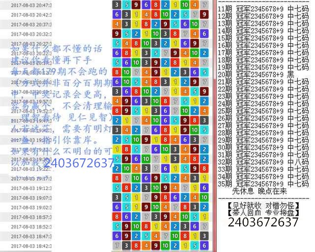 新澳门王中王100%期期中,全面释义、解释与落实