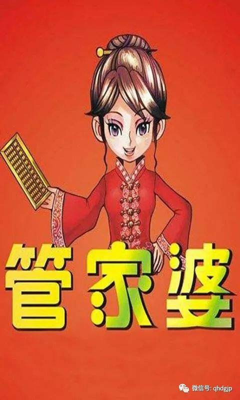 澳门管家婆100%精准香港,全面释义、解释与落实