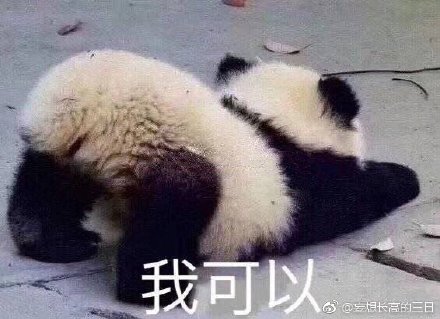 第344页