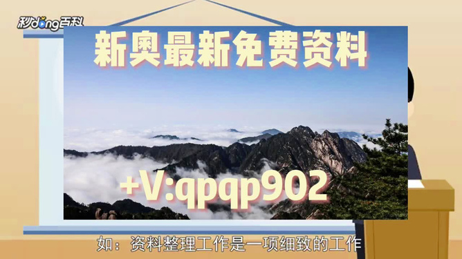 新奥2024年免费资料大全;全面贯彻解释落实