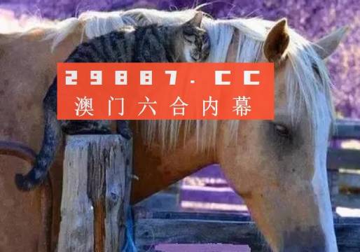 澳门一肖一码一特一中挂,精选解释解析_l636.78.258