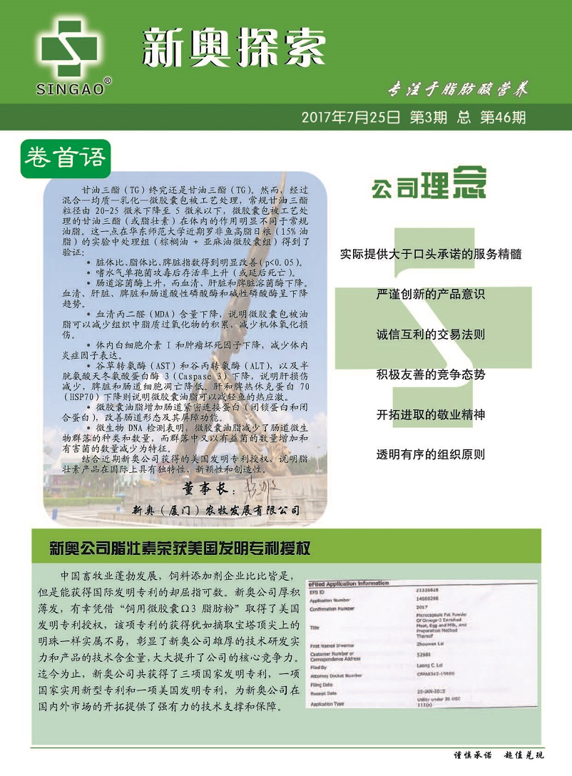 2025年新澳正版资料，精选解析解释落实_l636.78.258