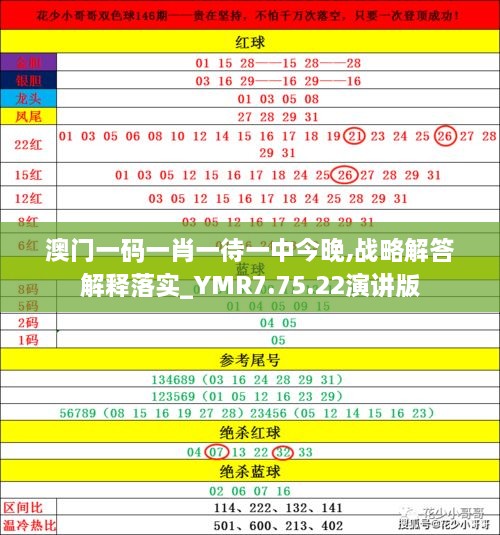 澳门100%最准一肖，精选解析解释落实_l636.78.258