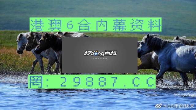 2025澳门买马最准网站，实用释义解释落实_l636.78.258