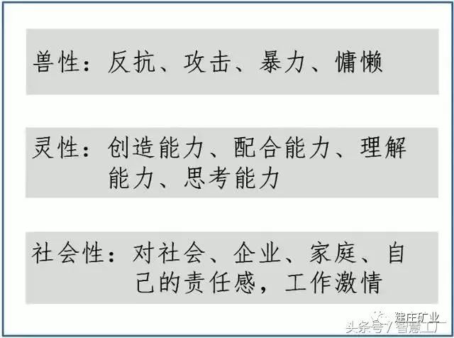 2025澳门特马今晚开码，实用释义解释落实_l636.78.258