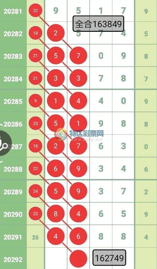 一肖一码一一肖一子，精选解析解释落实_l636.78.258