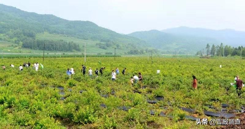 江源政府最新消息