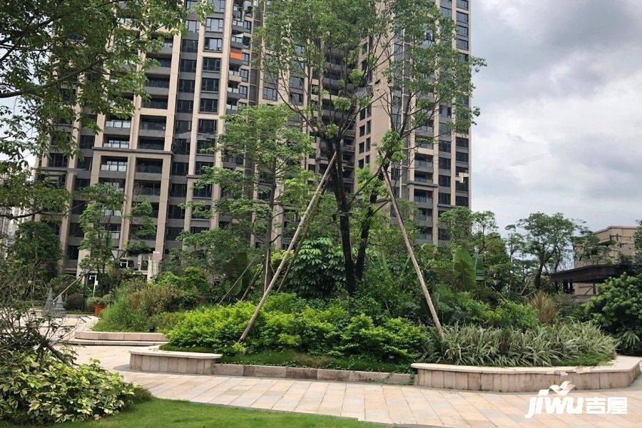 江门珑湖湾最新消息