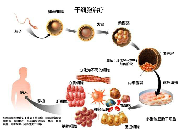 2020年干细胞最新治疗公布